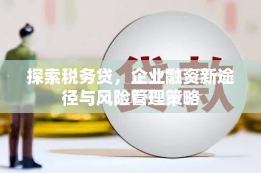 廉江探索税务贷，企业融资新途径与风险管理策略