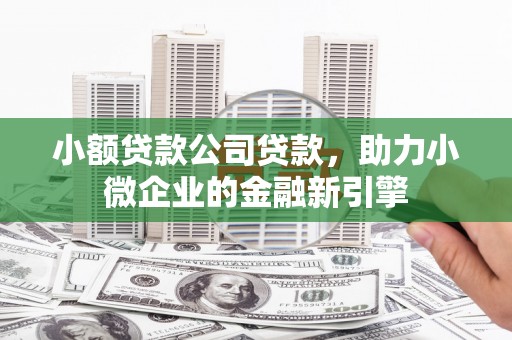 廉江小额贷款公司贷款，助力小微企业的金融新引擎