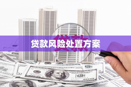 廉江贷款风险处置方案