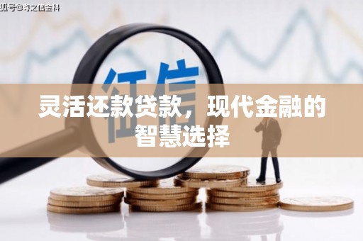 廉江灵活还款贷款，现代金融的智慧选择