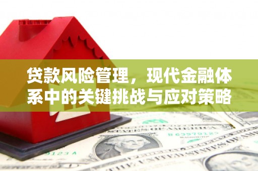 廉江贷款风险管理，现代金融体系中的关键挑战与应对策略