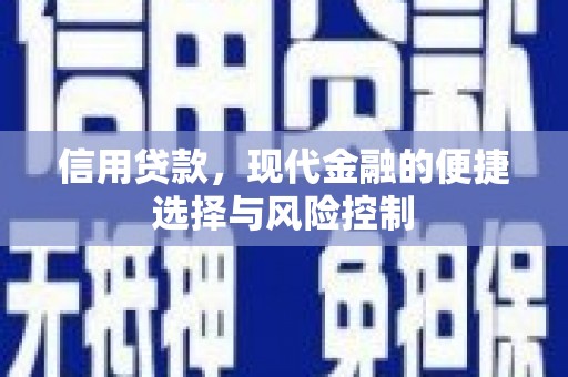 廉江信用贷款，现代金融的便捷选择与风险控制
