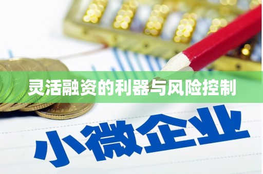 廉江灵活融资的利器与风险控制