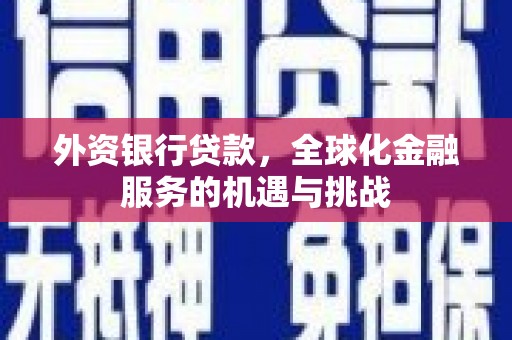 廉江外资银行贷款，全球化金融服务的机遇与挑战