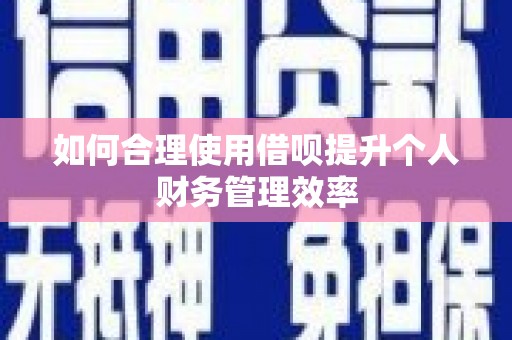 廉江如何合理使用借呗提升个人财务管理效率