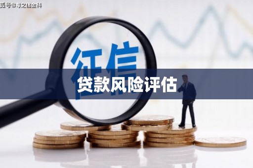 廉江贷款风险评估