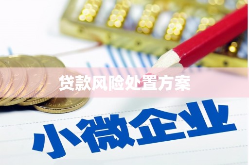 廉江贷款风险处置方案