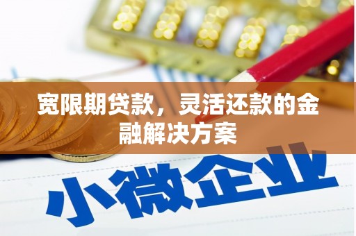 廉江宽限期贷款，灵活还款的金融解决方案