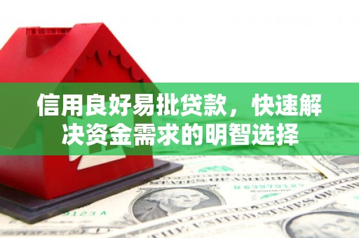 廉江信用良好易批贷款，快速解决资金需求的明智选择