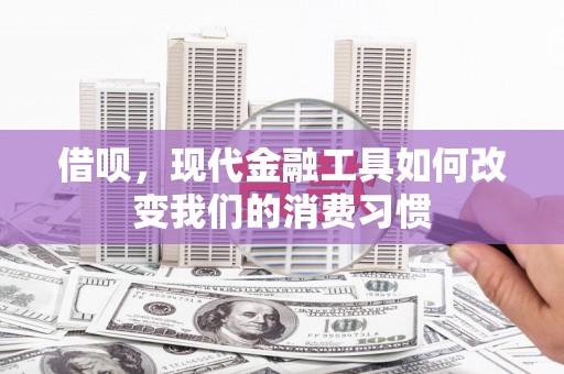 廉江借呗，现代金融工具如何改变我们的消费习惯