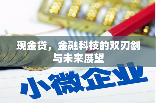 廉江现金贷，金融科技的双刃剑与未来展望