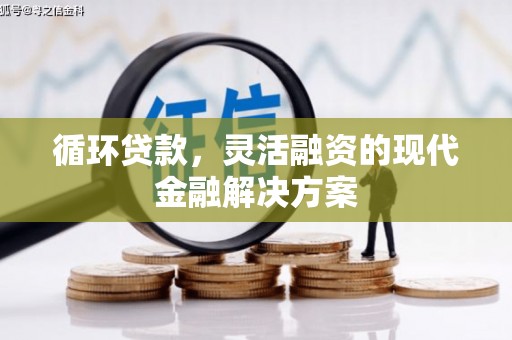 廉江循环贷款，灵活融资的现代金融解决方案