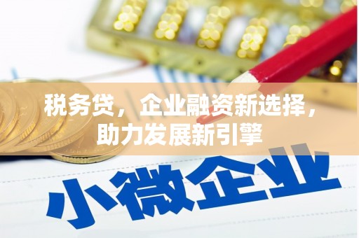 廉江税务贷，企业融资新选择，助力发展新引擎