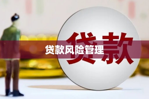 廉江贷款风险管理