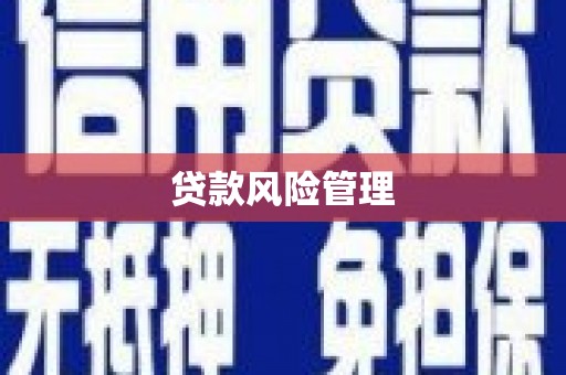 廉江贷款风险管理