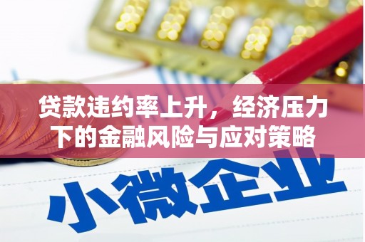 廉江贷款违约率上升，经济压力下的金融风险与应对策略
