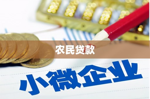 廉江农民贷款