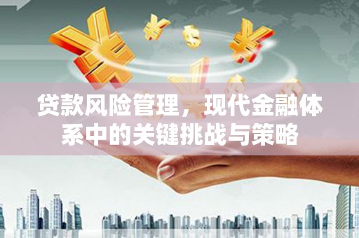 廉江贷款风险管理，现代金融体系中的关键挑战与策略