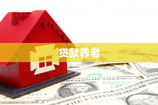 廉江贷款养老