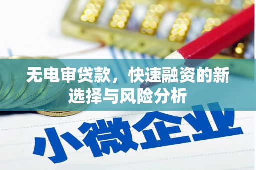 廉江无电审贷款，快速融资的新选择与风险分析