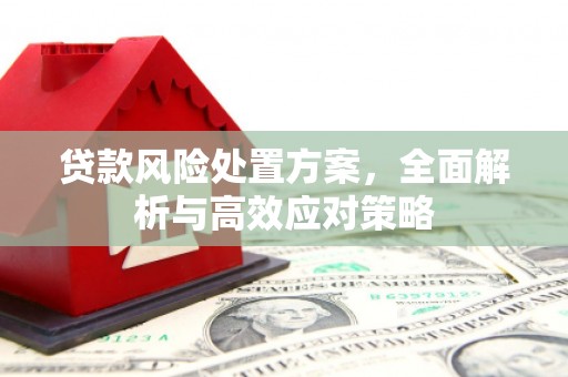 廉江贷款风险处置方案，全面解析与高效应对策略