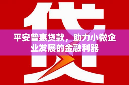 廉江平安普惠贷款，助力小微企业发展的金融利器