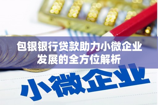 廉江包银银行贷款助力小微企业发展的全方位解析