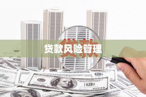廉江贷款风险管理