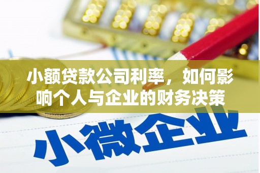 廉江小额贷款公司利率，如何影响个人与企业的财务决策