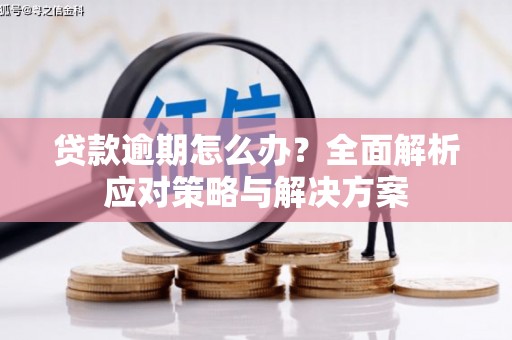 廉江贷款逾期怎么办？全面解析应对策略与解决方案