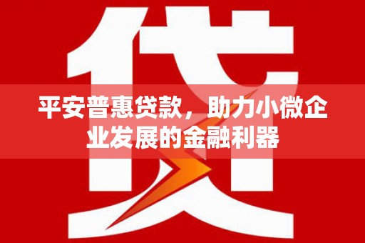 廉江平安普惠贷款，助力小微企业发展的金融利器