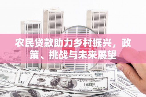 廉江农民贷款助力乡村振兴，政策、挑战与未来展望