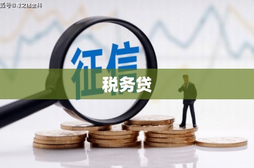 廉江税务贷