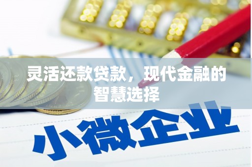 廉江灵活还款贷款，现代金融的智慧选择