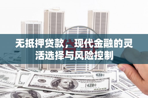 廉江无抵押贷款，现代金融的灵活选择与风险控制