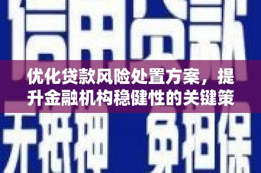 廉江优化贷款风险处置方案，提升金融机构稳健性的关键策略