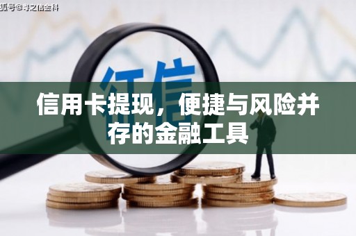 廉江信用卡提现，便捷与风险并存的金融工具