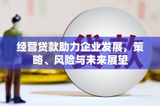 廉江经营贷款助力企业发展，策略、风险与未来展望