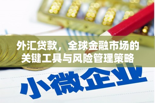 廉江外汇贷款，全球金融市场的关键工具与风险管理策略