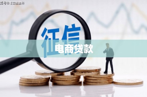 廉江电商贷款