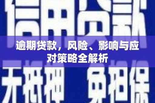 廉江逾期贷款，风险、影响与应对策略全解析