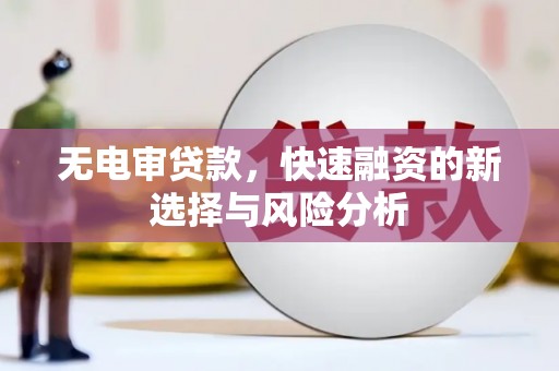廉江无电审贷款，快速融资的新选择与风险分析