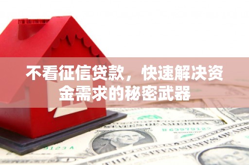 廉江不看征信贷款，快速解决资金需求的秘密武器