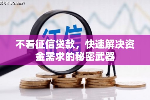 廉江不看征信贷款，快速解决资金需求的秘密武器