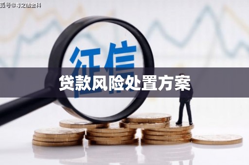 廉江贷款风险处置方案