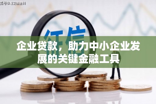 廉江企业贷款，助力中小企业发展的关键金融工具