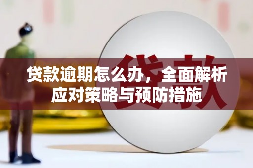 廉江贷款逾期怎么办，全面解析应对策略与预防措施