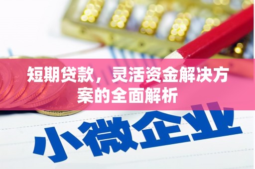 廉江短期贷款，灵活资金解决方案的全面解析