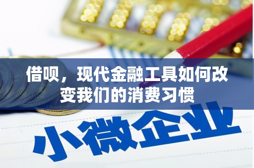 廉江借呗，现代金融工具如何改变我们的消费习惯