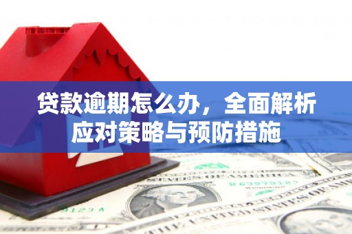 廉江贷款逾期怎么办，全面解析应对策略与预防措施